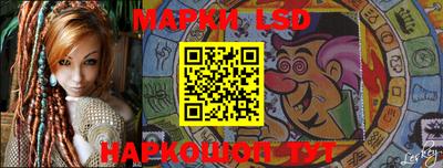 стафф Кингисепп