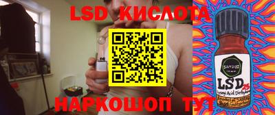 стафф Кингисепп