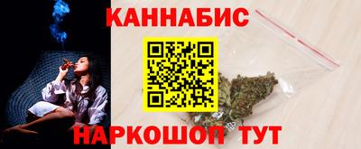 стафф Кингисепп