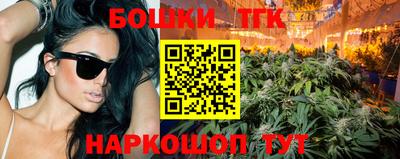 стафф Кингисепп