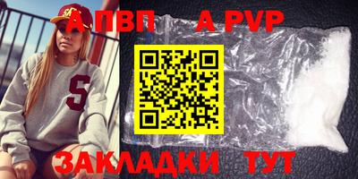 стафф Кингисепп