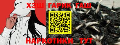 стафф Кингисепп