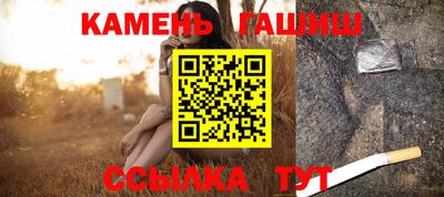 стафф Кингисепп