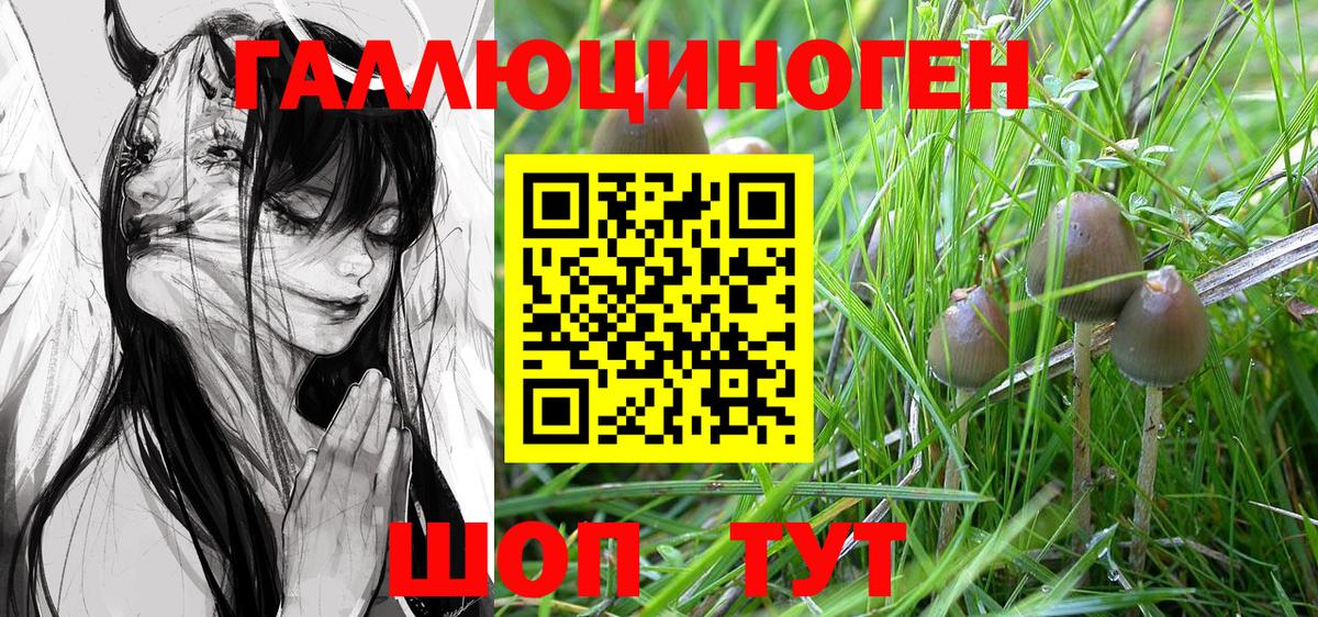 Псилоцибиновые грибы Psilocybine cubensis  Галлюциногенные грибы мухоморы  Кстово  Вход с VPN 