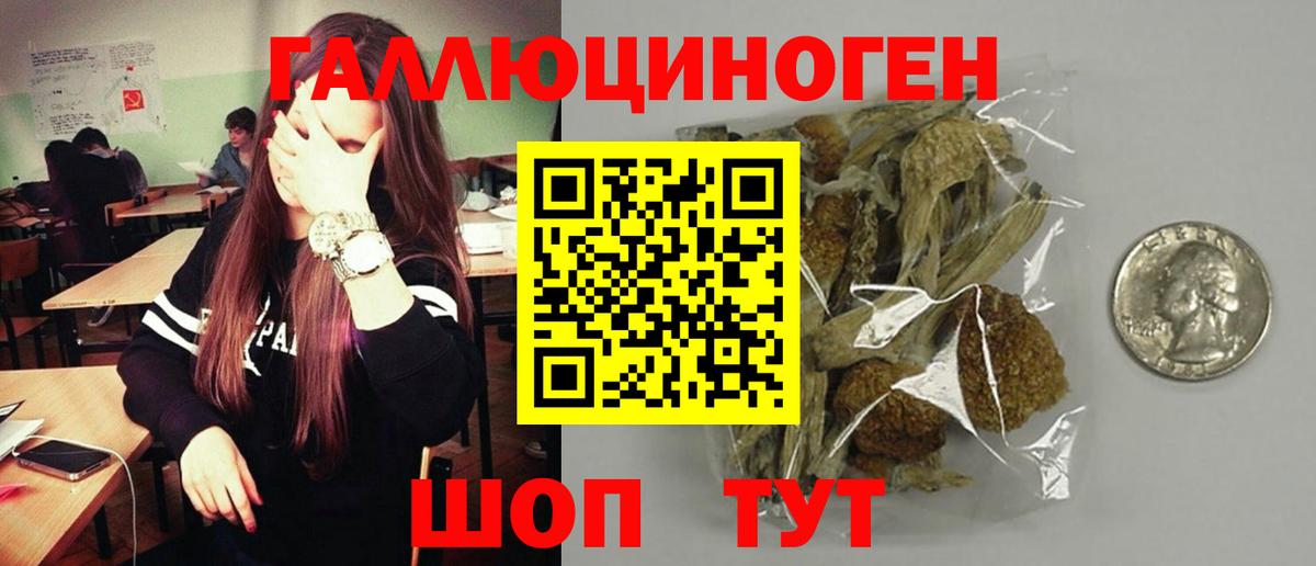 Галлюциногенные грибы Psilocybine cubensis Кстово