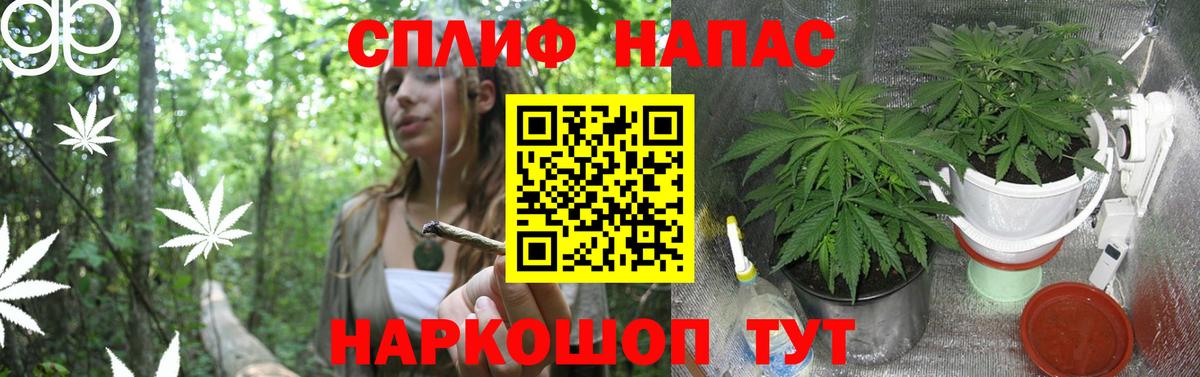 Шишки марихуана марихуана Кстово